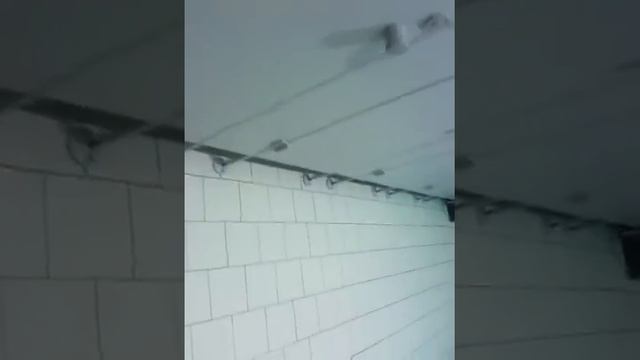 Торговый центр Ривьера в Одессе .Проблемы инвалидов.Где одеть памперс ребенку в Ривьере ?[Sky Angel смотреть онлайн