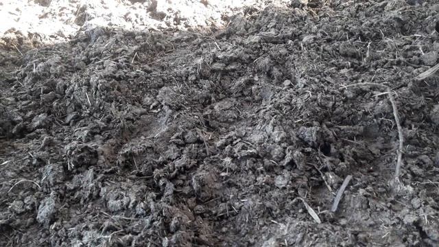 студент и авторемонтный завод смотреть онлайн