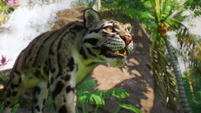 Southeast Asia Animal Pack! 8 NEW ANIMALS! | Planet Zoo Southeast Asia Animal Pack смотреть онлайн