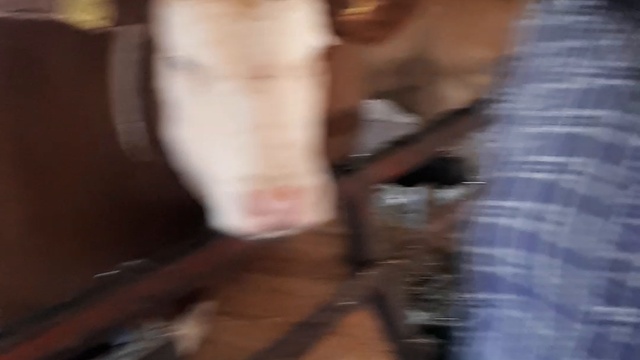 Лучший скот из Дании с доставкой! смотреть онлайн