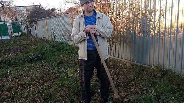 Из Сибири на Кубань./Рассаживаем малину. Наглая кошка. Осень в разгаре.