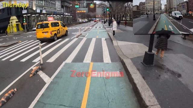 Bike Vs Stupidity 183