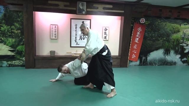 Aikido Instructor Seminar - Семинар инструкторов Айкидо смотреть онлайн