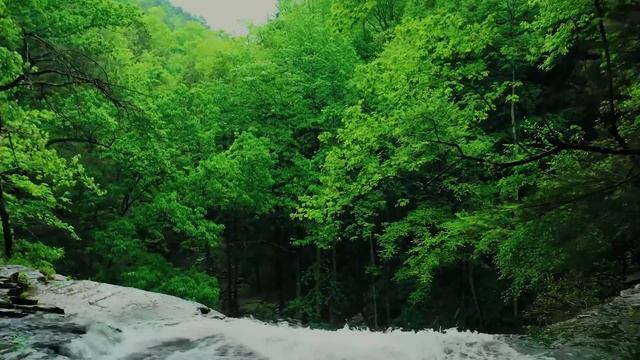  смотреть онлайн