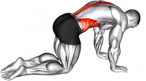 Растяжки и Упражнения для Облегчения Боли в Спине