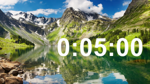 ТАЙМЕР ⏰ на 5 минут со звуком