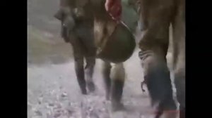 Дагестан; Здравствуй мама!