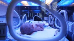 РАЗВИТИЕ НЕДОНОШЕННОГО РЕБЕНКА ПО МЕСЯЦАМ | Как развиваются дети рожденные раньше срока