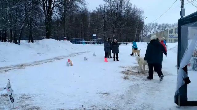 Моно САО 21.01.17 Тула смотреть онлайн