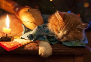Хорошего Вечера!Просто Волшебного! И главное Ты не скучай!