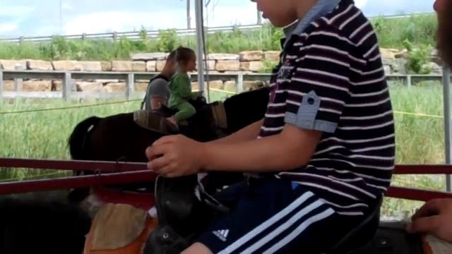 Кони в яблоках. Салтыков отдыхает :)