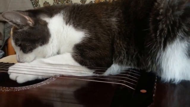Проверка струн на прочность / Durable strings смотреть онлайн
