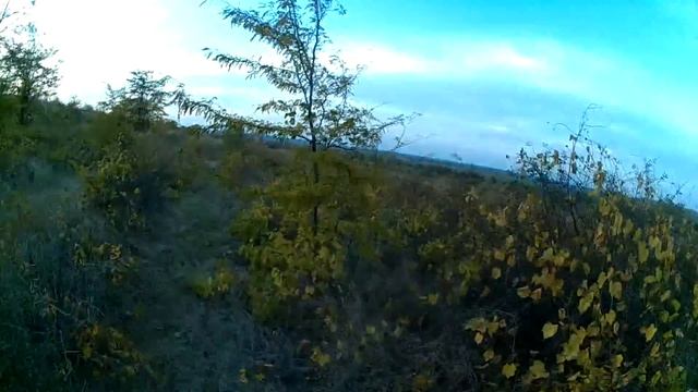 (Охота) неожиданный заяц смотреть онлайн