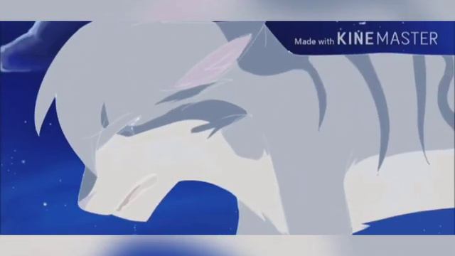 ~клип ~°коты воители °{aliez} +150