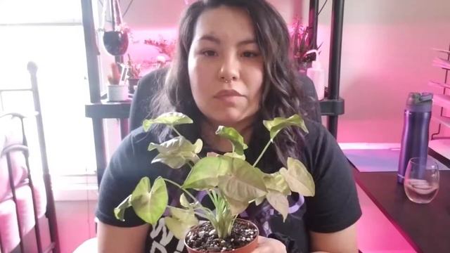 I Bought More Plants! смотреть онлайн