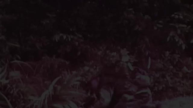 Mysteries and Obscurities of The Vietnam War Iceberg смотреть онлайн