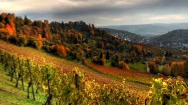 Жизнь в стеклянном доме смотреть онлайн