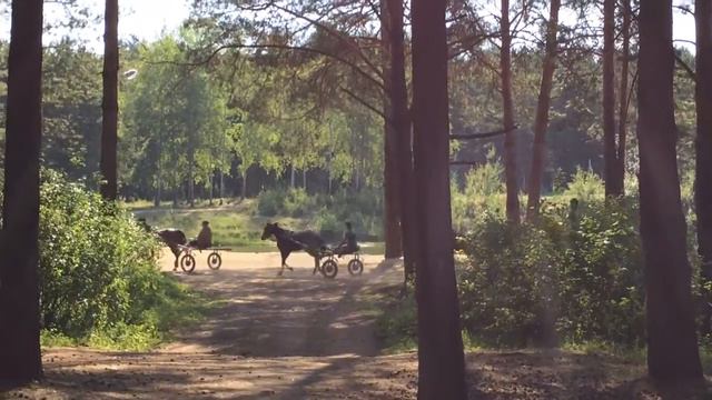 iPhone 5s video horse ride в набережных челнах смотреть онлайн
