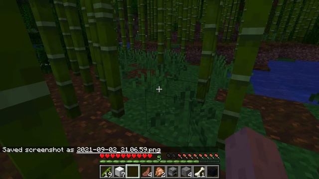 Minecraft SMP 1.17.1 Live [Tamil(தமிழ்) / English] | 02.09.2021 | Cypher Gamers смотреть онлайн