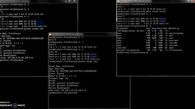 Incrementando a alta disponibilidade com o GlusterFS | Debian 8 смотреть онлайн