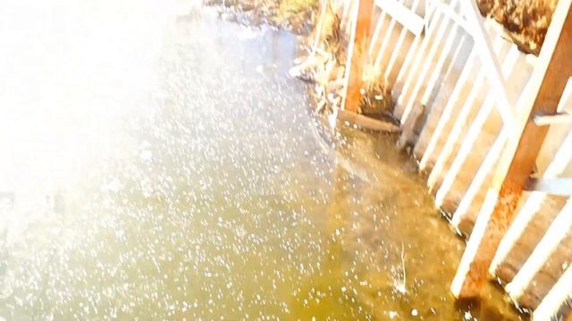 Погибла рыба по первому льду .Известкование. смотреть онлайн