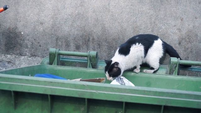 Загадочные временные лежания и программирование мозга