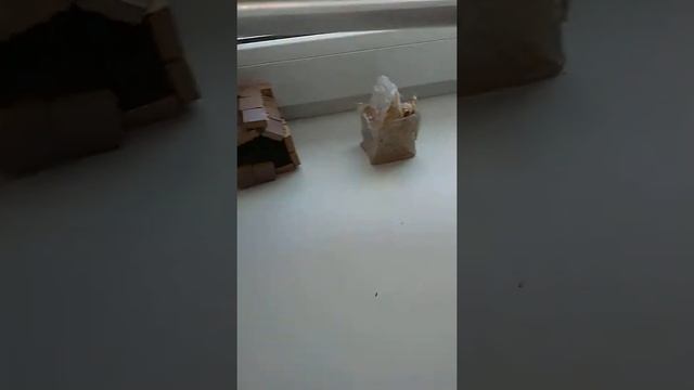 Домик из термоклея смотреть онлайн