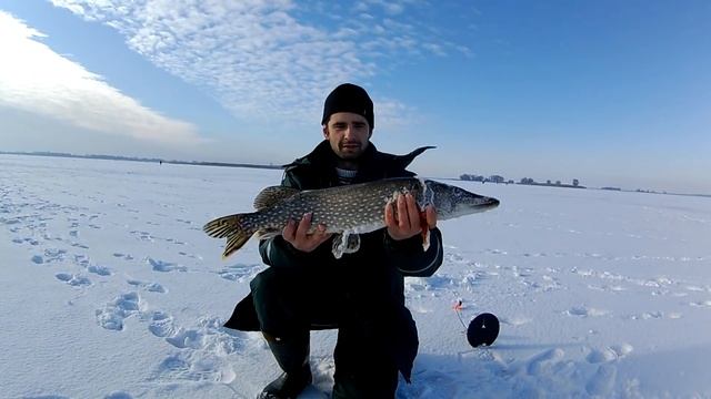 Ловля щуки на жерлицы в глухозимье . Рыбалка с АРТУРЫЧЕМ. Щука на жерлицы / Щука зимой смотреть онлайн