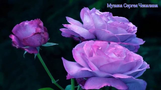 Музыка для привлечения энергии, силы и душевного изобилия смотреть онлайн