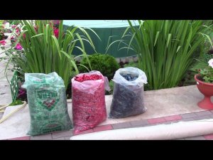 Мульчирование декоративной щепой