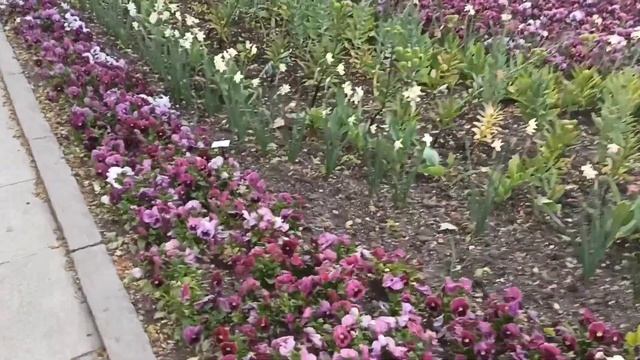 Хемниц (Германия) / отель Dorint (Доринт) / центр города / фонтаны / канал Субъективное мнение смотреть онлайн