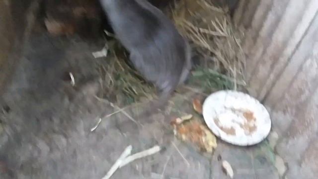 Запахло весной. смотреть онлайн