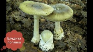 Окружающий мир 3 класс, тема урока "Природа и наша безопасность", с.25-30, Школа России.