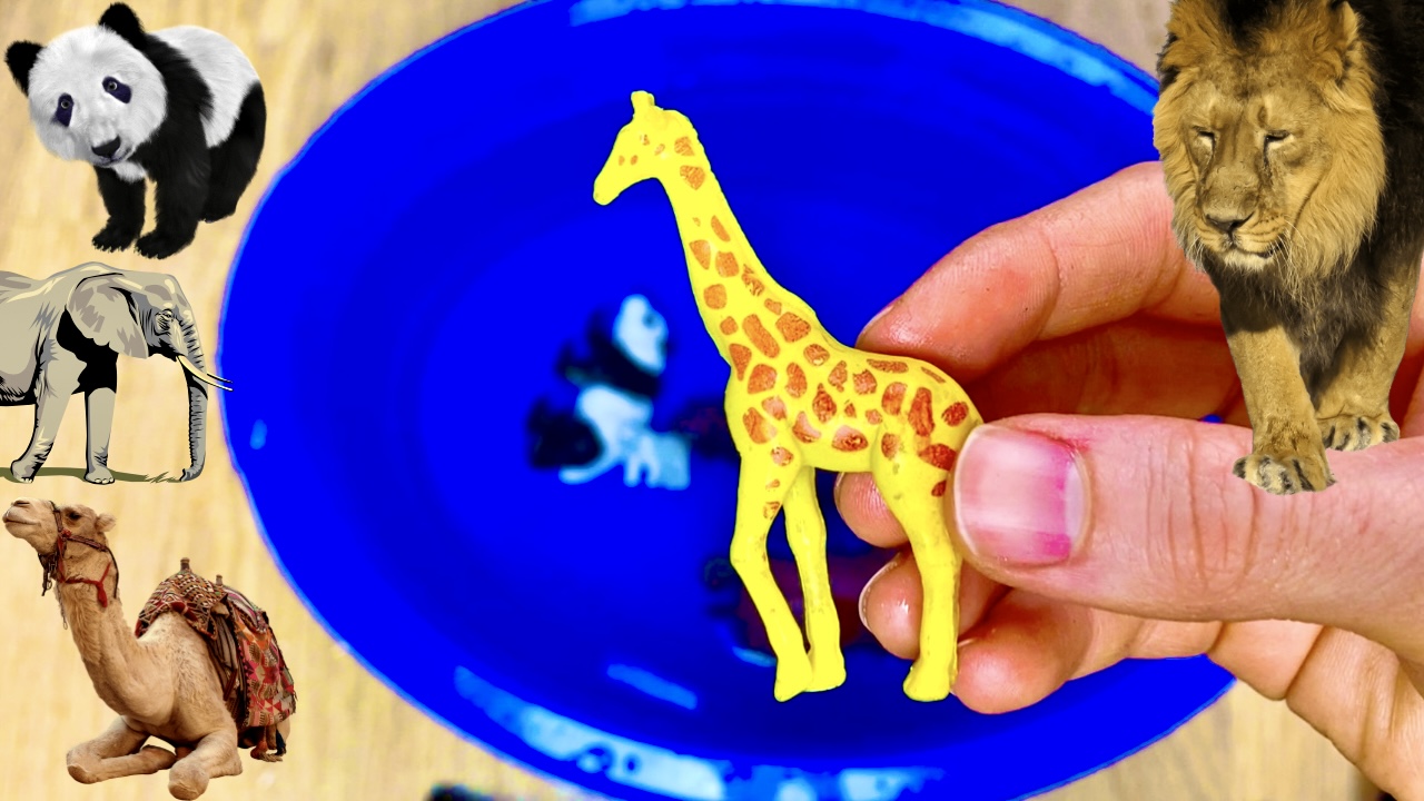 Учим Животных на английском Панда,Слон,Медведь,Леопард,Жираф Мультики для Детей Английский для Детей смотреть онлайн