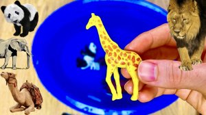 Учим Животных на английском Панда,Слон,Медведь,Леопард,Жираф Мультики для Детей Английский для Детей