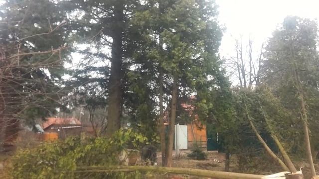 Серия №11. Подготовка участка. Пилим деревья. ДОРОГА К ДОМУ. смотреть онлайн