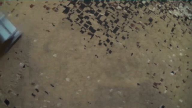 Dyson DC52 Animal Turbine - REAL TEST смотреть онлайн