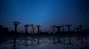 Две.. Жизни..  Т 3   Гл    22 .  23