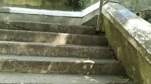 Влог/Лазаревское/Храм Рождества Пресвятой Богородицы