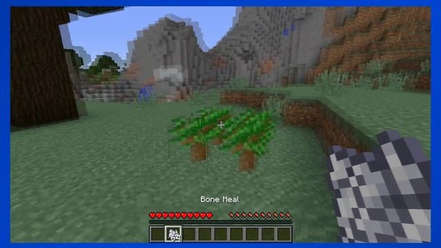 How to Grow a Dark Oak Tree in Minecraft! UPDATED смотреть онлайн