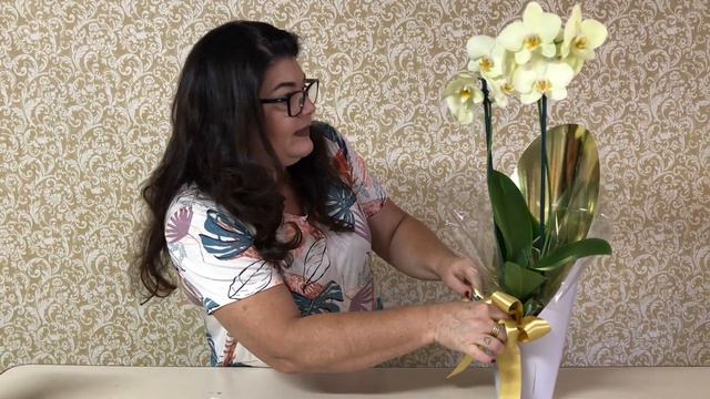 Sugestão de embalagem para orquídea смотреть онлайн