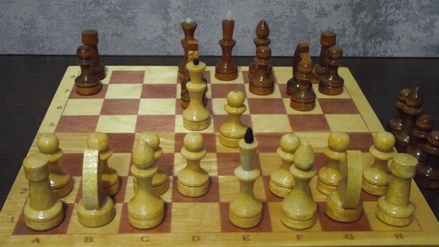 Юморные шахматы 4 смотреть онлайн