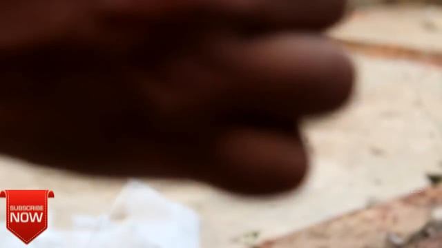 #craft
jelly fish നെ നമ്മൾ കുപ്പിയിൽ ആക്കി 😂|DIY jellyfish in a bottle home decor|Kavalam vloges#5 смотреть онлайн