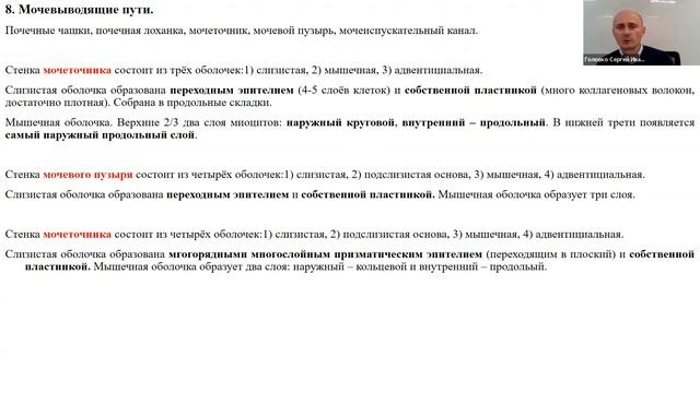 Биология для учителей | МОЧЕВАЯ СИСТЕМА
