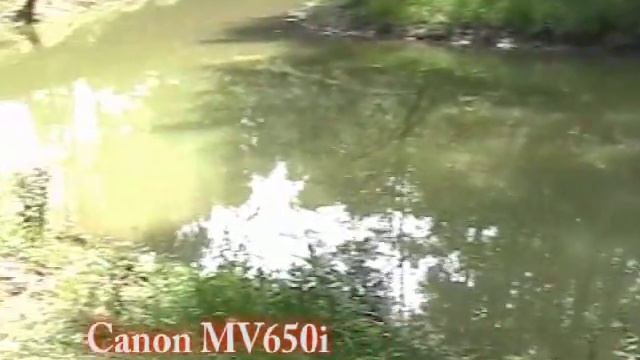 Canon MV650i vs. Canon MVX3i смотреть онлайн