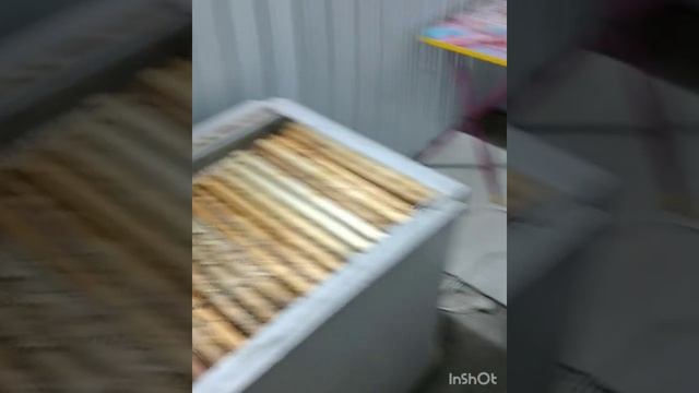 Откачиваю мед в феврале. День первый - загрузка рамок, разогрев. смотреть онлайн