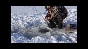Как поставить перемет на налима зимой и поймать много ершей.