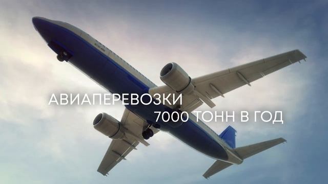 NAWINIA: логистика для жизни смотреть онлайн