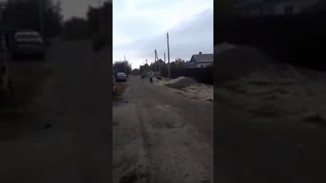 Веселая зарядка от Куликовой Марьяны ко дню Отца. смотреть онлайн