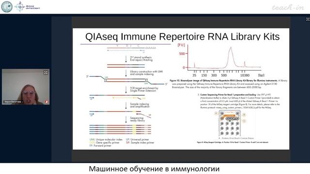 Вахитова М.Т. - Машинное обучение в иммунологии и медицине - 8. Особенности секвенирования TCR, BCR смотреть онлайн